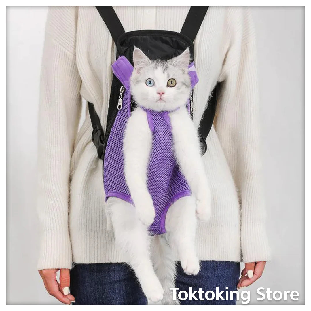 Purple grid cat carrier backpack on city street with Glimbo and Glimby mascots - urban adventure
